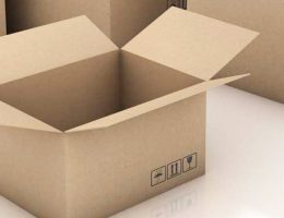 Hộp carton 16*12*6