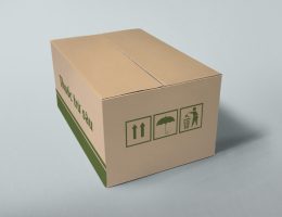 Hộp carton in ấn 04