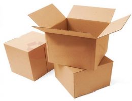 Hộp carton 15*8*6